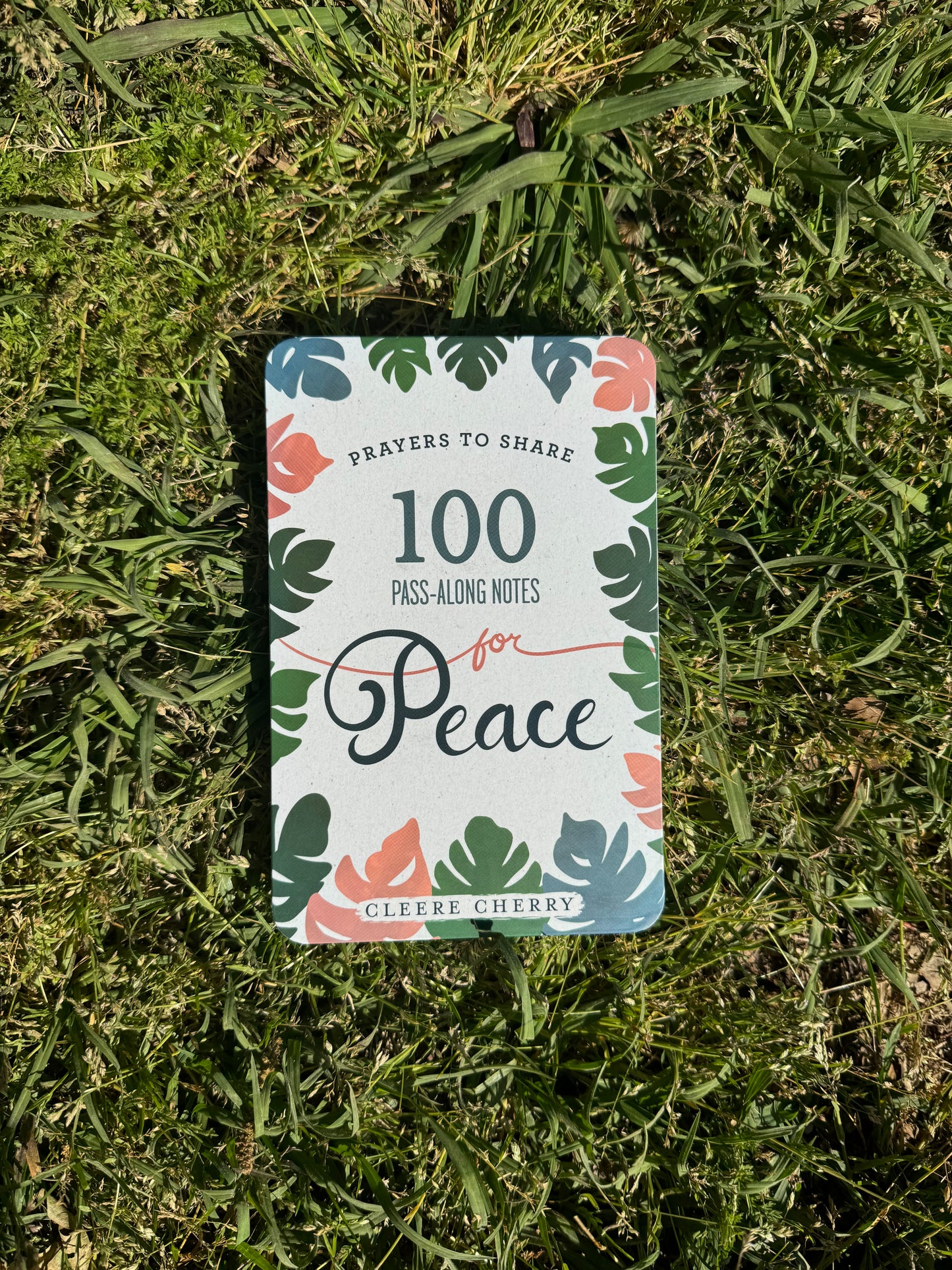 Peace Pass Along Notes