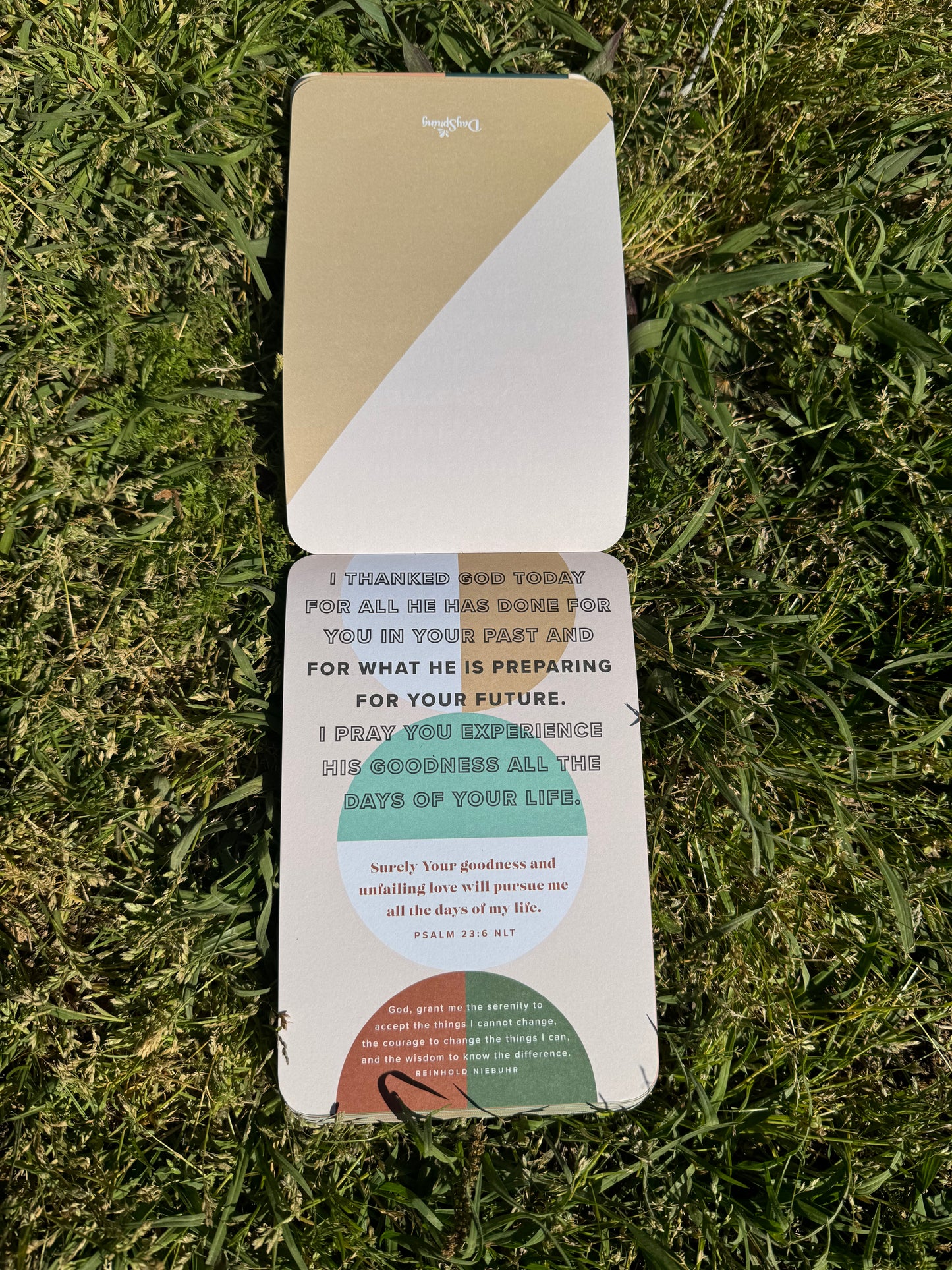 Gratitude Pass Along Notes